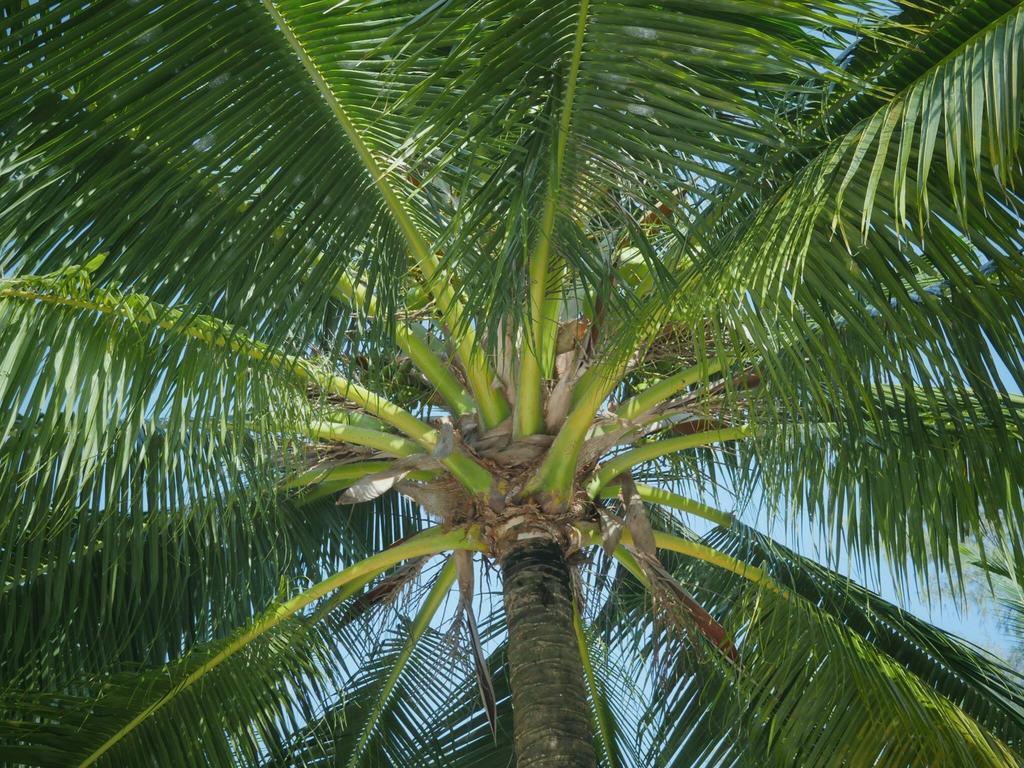 Homestay Nice Beach Bungalow Derm Tkov Village